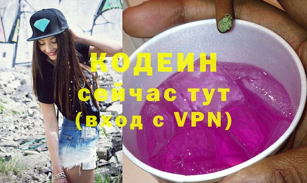 гидра Гусев
