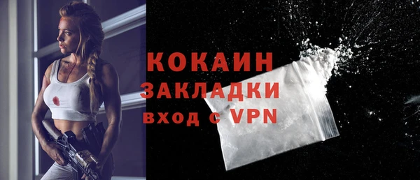 гидра Гусев