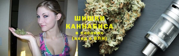 дживик Гусиноозёрск