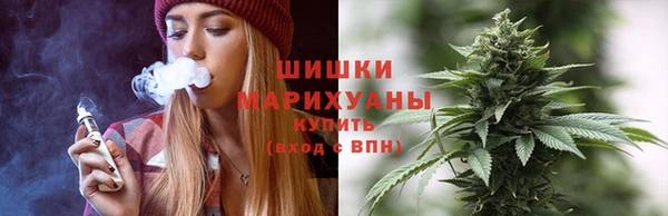 дживик Гусиноозёрск