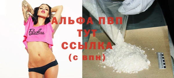 гидра Гусев