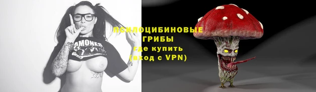 гидра Гусев
