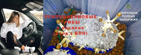 герыч Гусь-Хрустальный