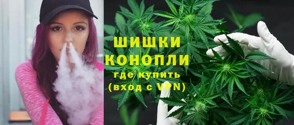 дживик Гусиноозёрск