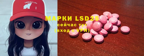 гидра Гусев