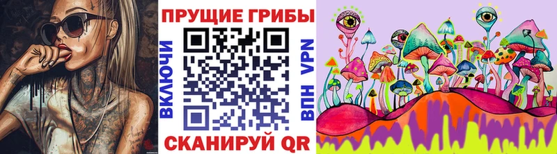 Галлюциногенные грибы GOLDEN TEACHER Купить где Никольское